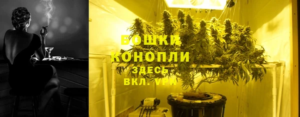 гидра Белокуриха