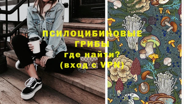 гидра Белокуриха