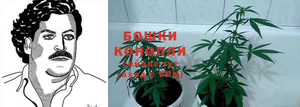 гидра Белокуриха