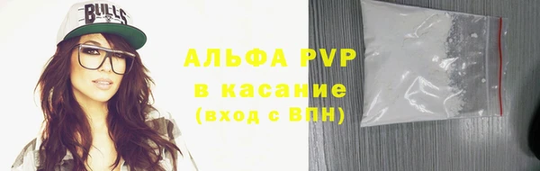 прущие грибы Белоозёрский