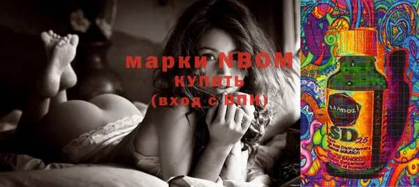прущие грибы Белоозёрский