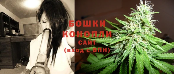 прущие грибы Белоозёрский