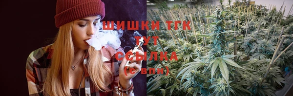 прущие грибы Белоозёрский