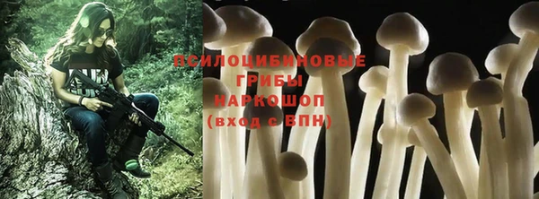 прущие грибы Белоозёрский