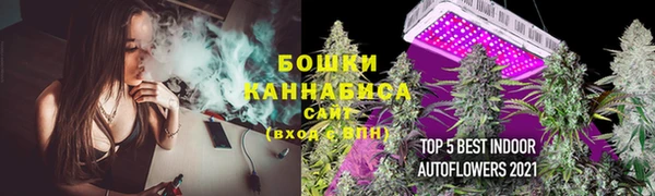 гидра Белокуриха