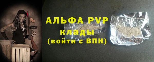 гидра Белокуриха