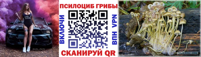 продажа наркотиков  KRAKEN зеркало  Псилоцибиновые грибы ЛСД  Щёлкино 